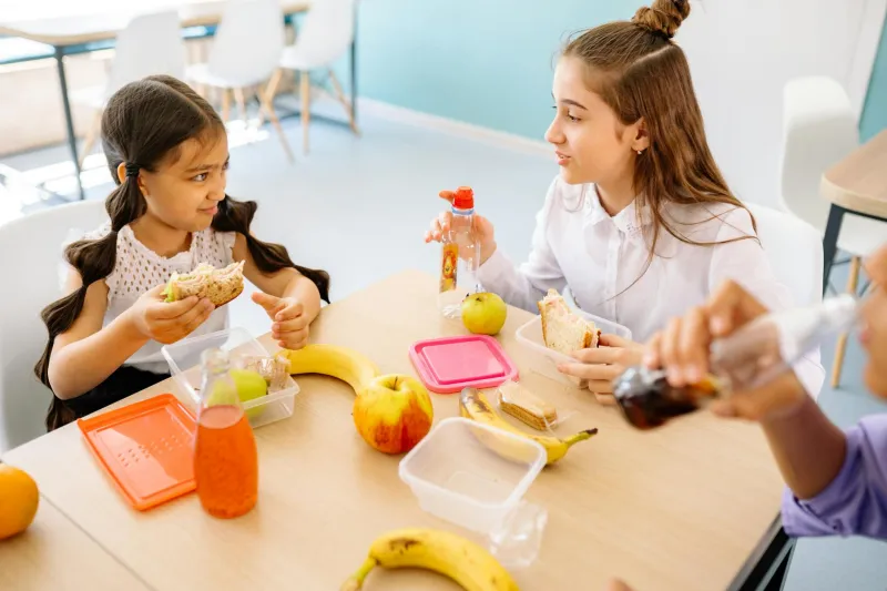 The Lunchbox That Terrorizes Classrooms: When America Became Afraid of Food